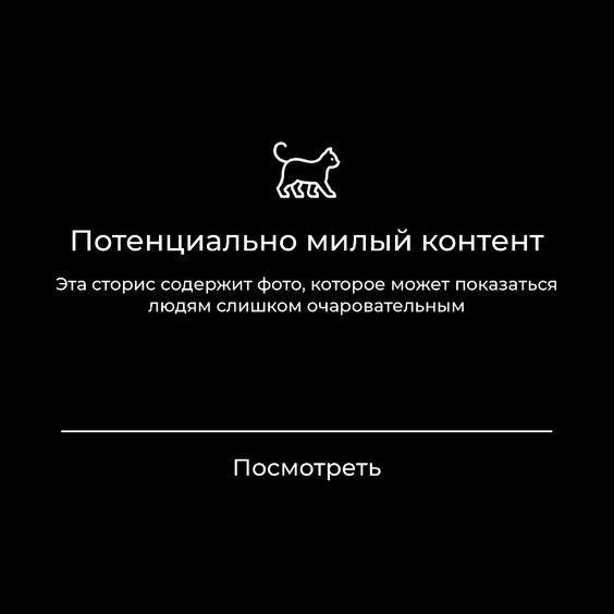 _sillywolf_'s tweet photo. поздравляю, просмотр изображения только что настроил вас на исключительно счастливый и продуктивный день
#yoongi #bts https://t.co/0rsPd9PiJq