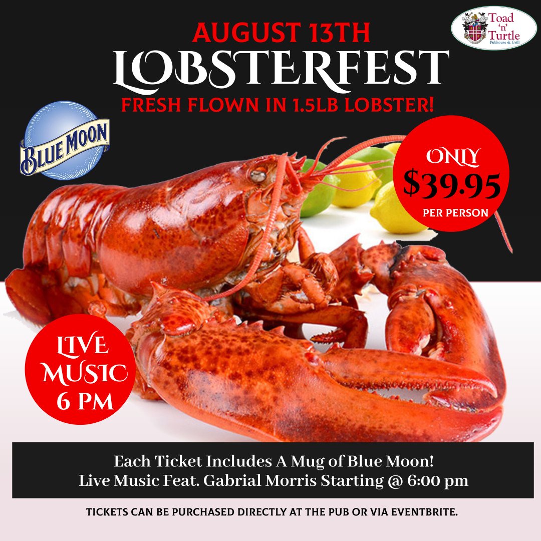 Toad n Turtle SHEP tweet media