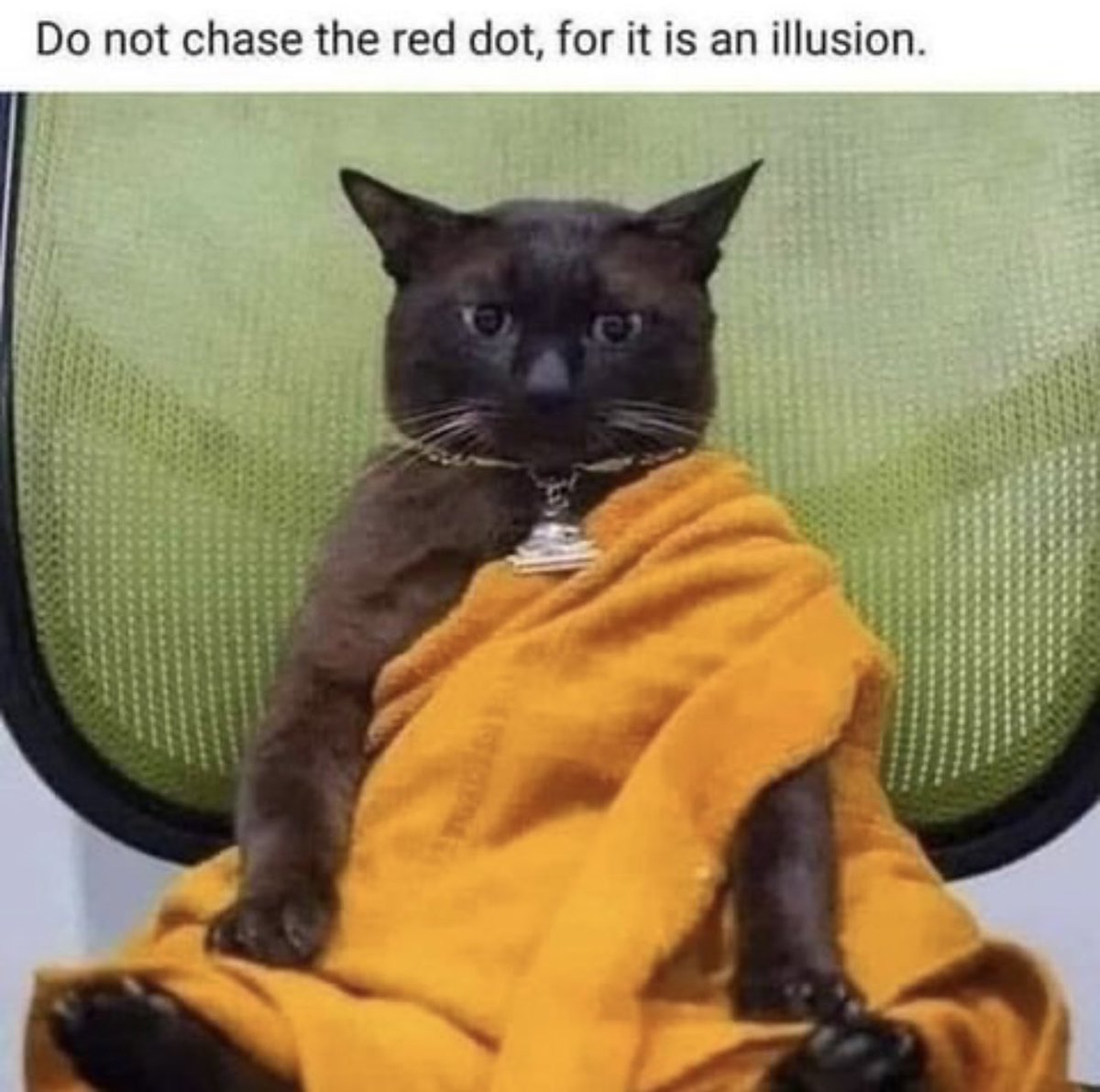 shoeways's tweet photo. My mind after the 3- days mindfulness meditation retreat. #memezen https://t.co/GpOVtAOcC6