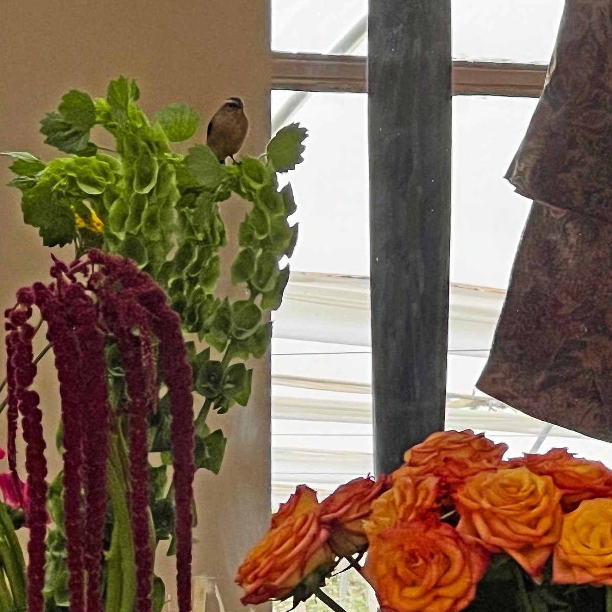 BellaflorGroup's tweet photo. We received a visit from this restless little friend..

#bird #nature #rainforest #bellaflorgroup #home #freshcutflowers #natural #earth #ecuadorianflowers #farm #ecuador https://t.co/6xoU2pZKU9