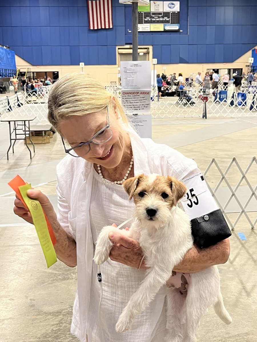 ArloParson's tweet photo. Day 2 Salem, VA dog show: I got Best of Breed and Group 3 Terriers (4 to 6 mth puppy class). Will I continue to progress every day? https://t.co/mC8mAvcYIw