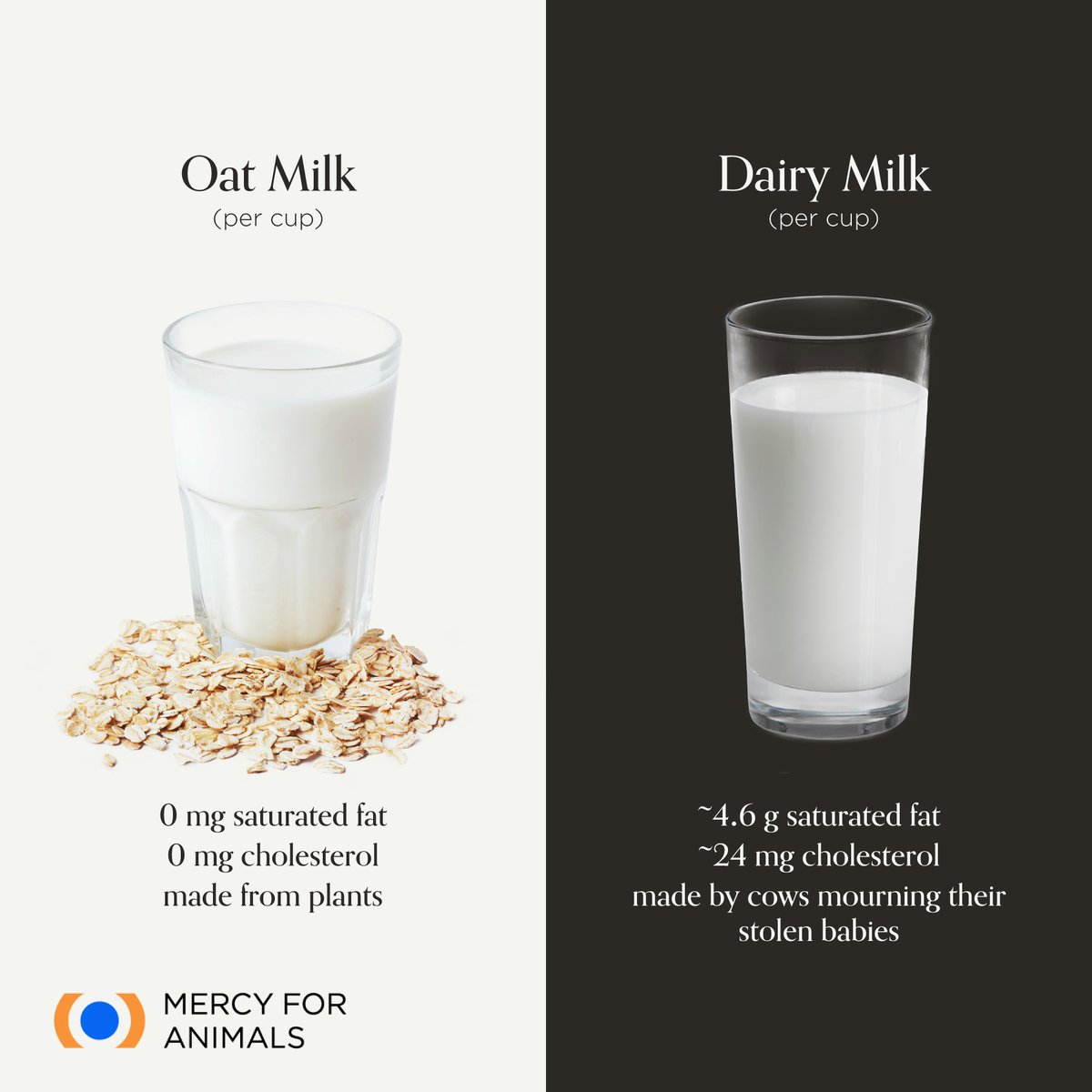 MercyForAnimals's tweet photo. Dairy is scary. 😨 Fortunately, there are tons of delicious vegan options to choose from!

What's your favorite plant-based milk? 🥛 https://t.co/bMda6DjWbB