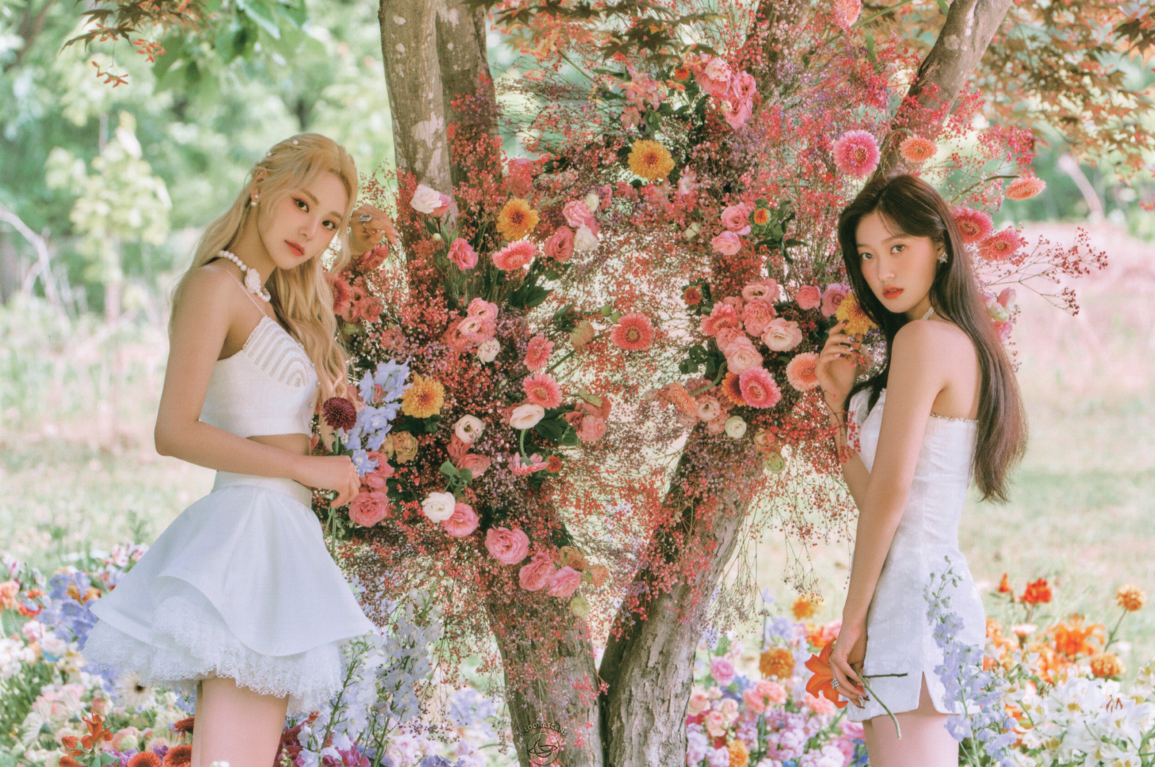LOONA キムリプ ミュージックコリアヨントン ポストカード K-POP