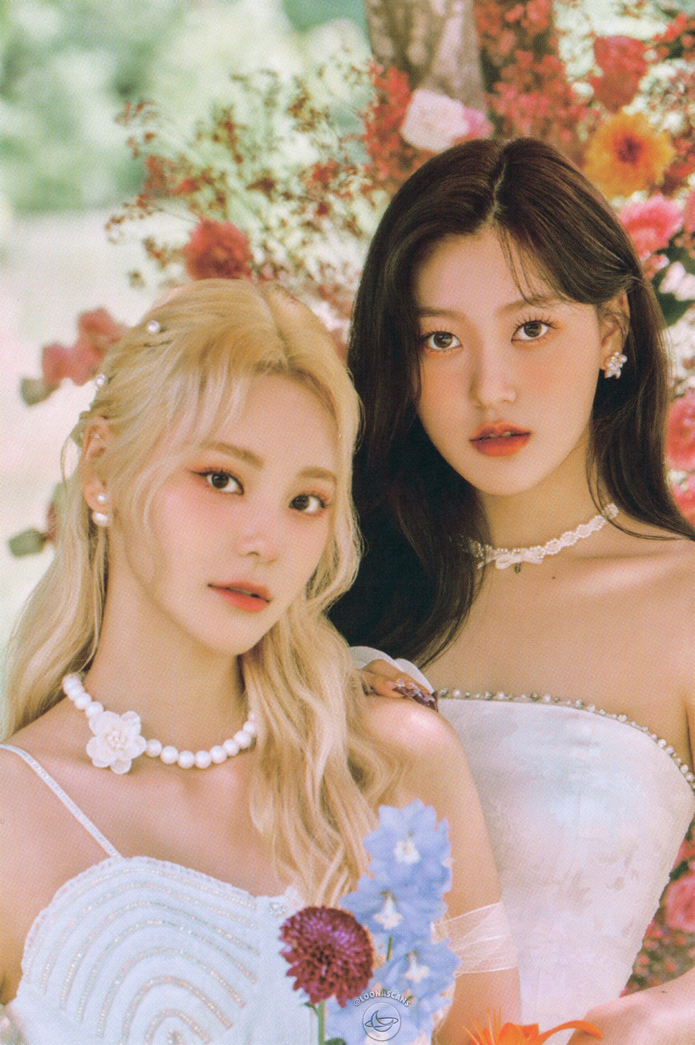 LOONA キムリプ ミュージックコリアヨントン ポストカード K-POP