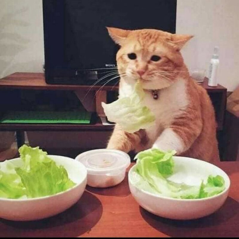 lechuga deliciosa