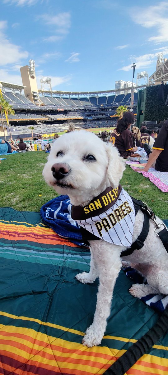 #Padrespets