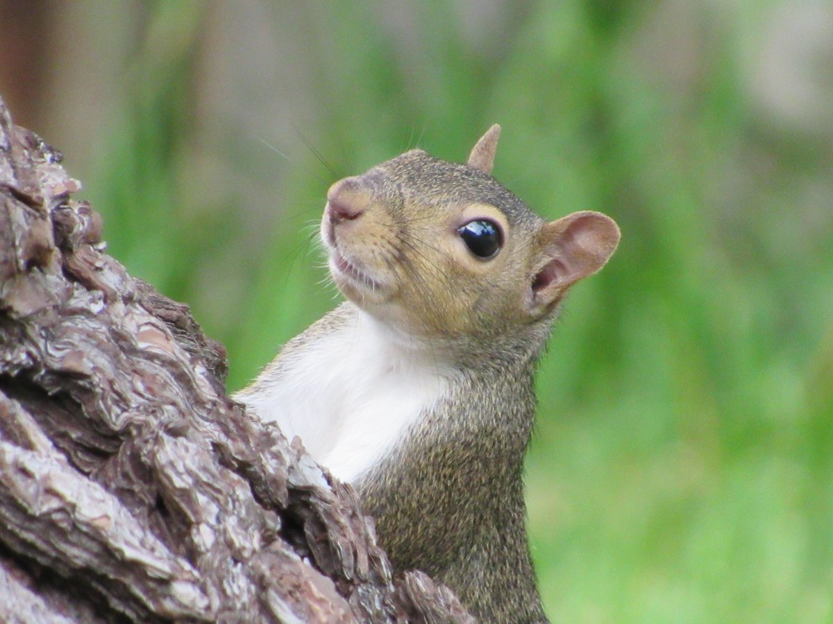 Scooter Davis tweet media