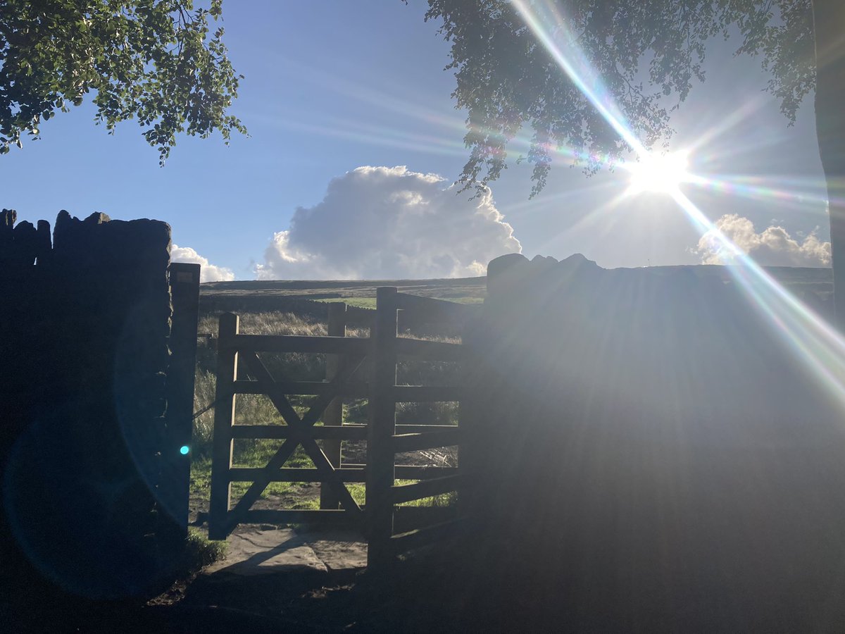 funnypenny's tweet photo. Early evening wanderings… 🥾 #holcombemoor #pilgrimscross #redflags #beetlehill #harcleshill #peeltower #buckdenwood #nationaltrust #westpenninemoors https://t.co/Ys9dW50jcB