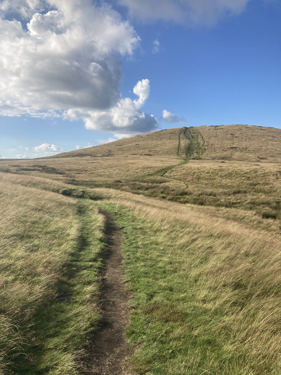 funnypenny's tweet photo. Early evening wanderings… 🥾 #holcombemoor #pilgrimscross #redflags #beetlehill #harcleshill #peeltower #buckdenwood #nationaltrust #westpenninemoors https://t.co/Ys9dW50jcB