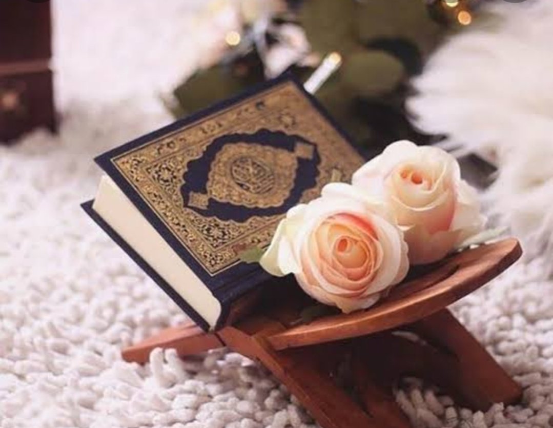 #يوم_الجمعة 
الراحة والهدوء والاسترخاء