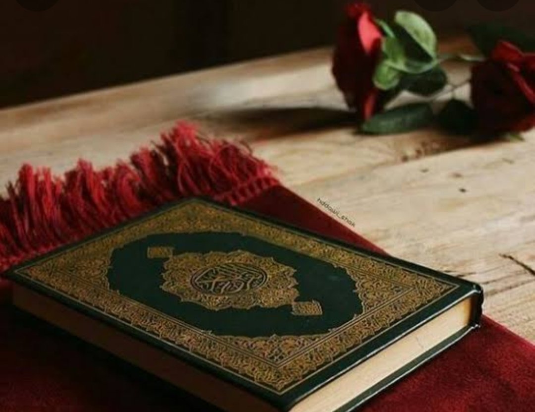 #يوم_الجمعة 
اللهم اجعل القرآن العظيم ربيع قلوبنا ونور صدورنا وذهاب همومنا واحزاننا