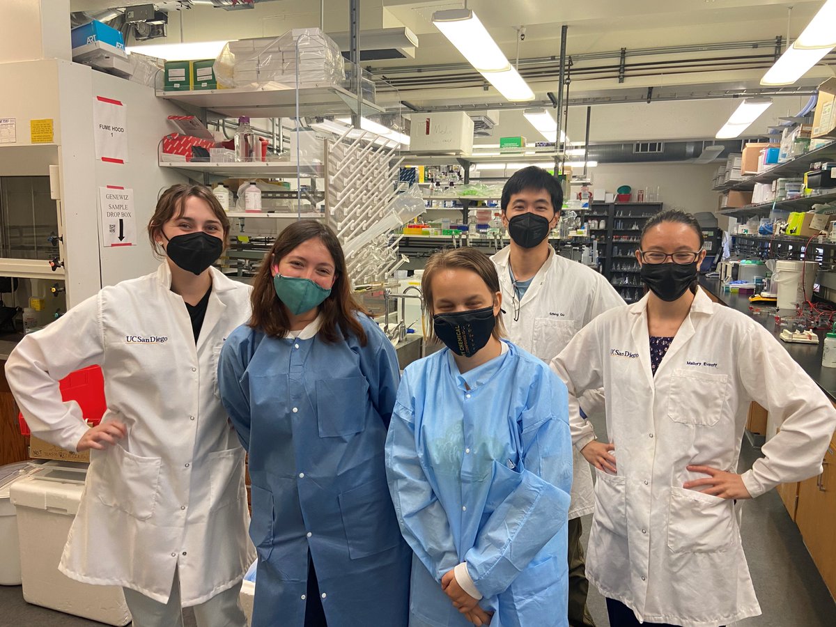 Komor Lab tweet media