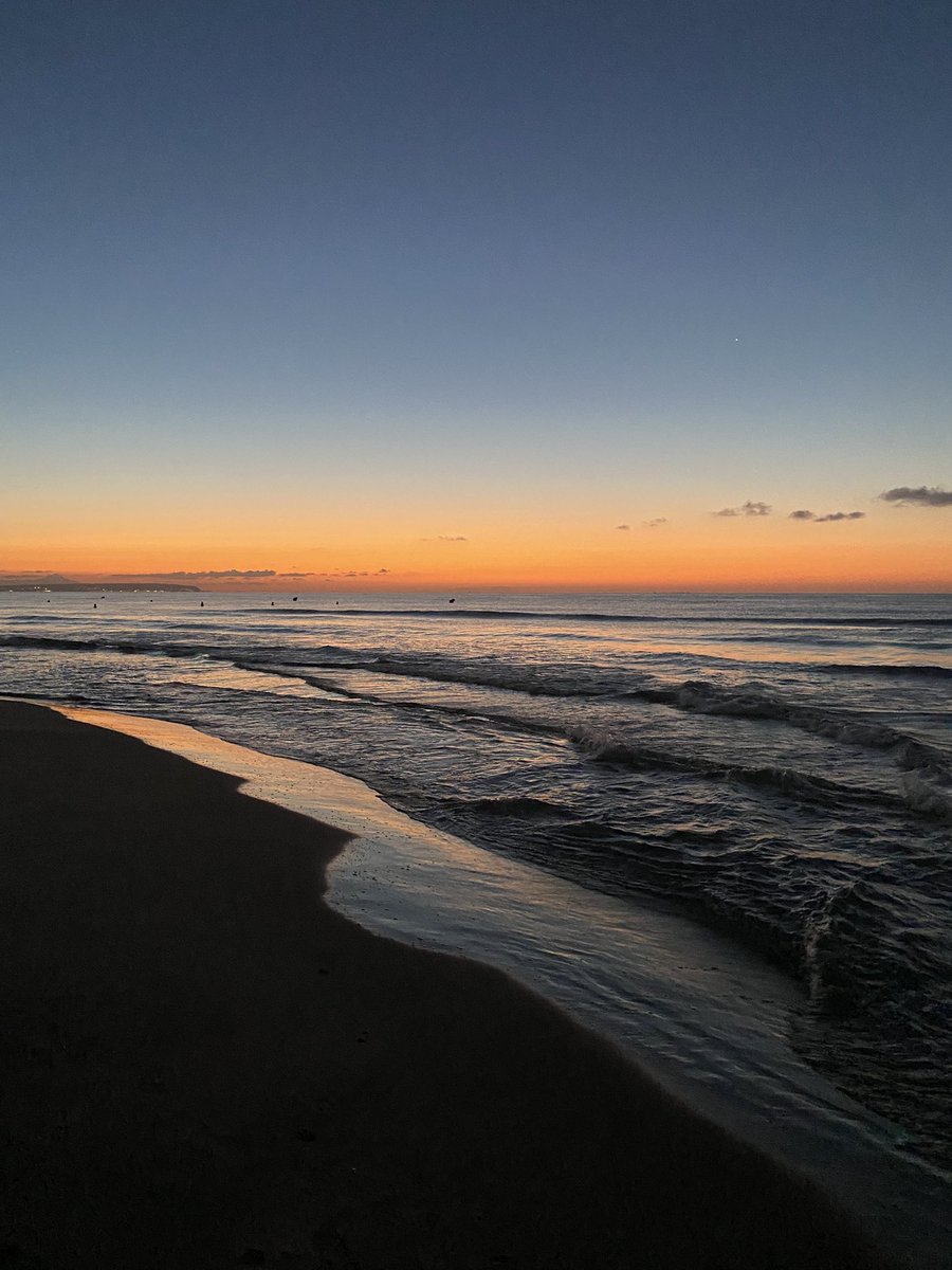 candi🥑 tweet media