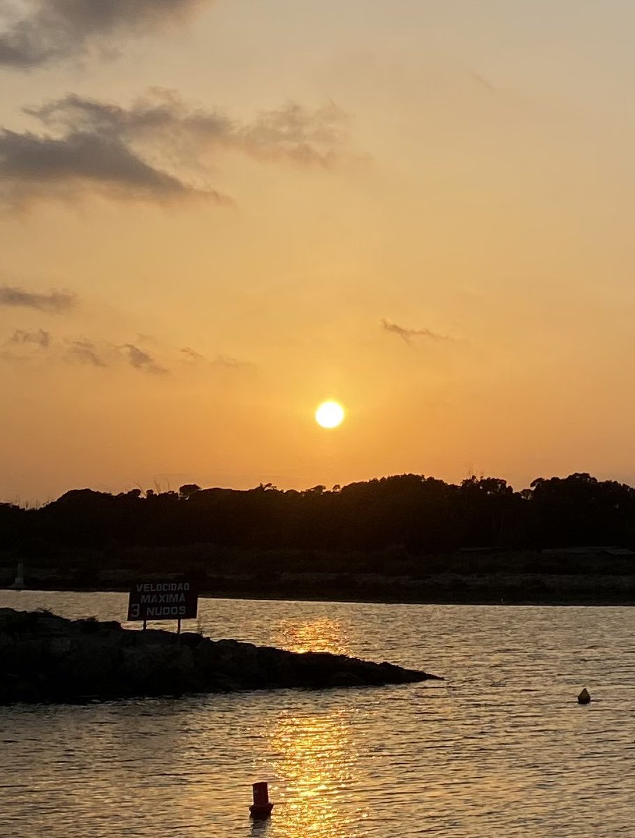 candi🥑 tweet media