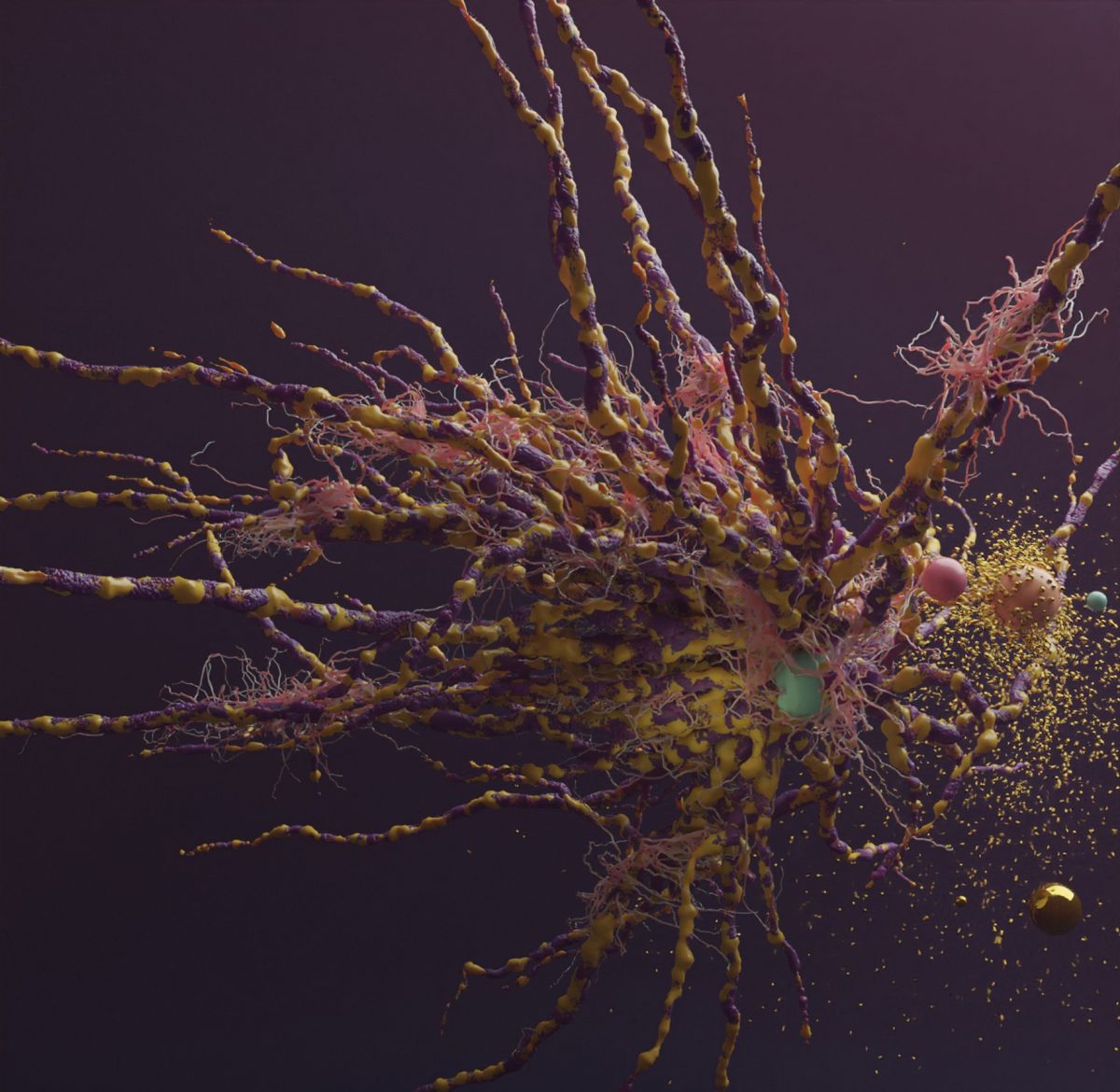 Art the Science 🚀🎨 tweet media