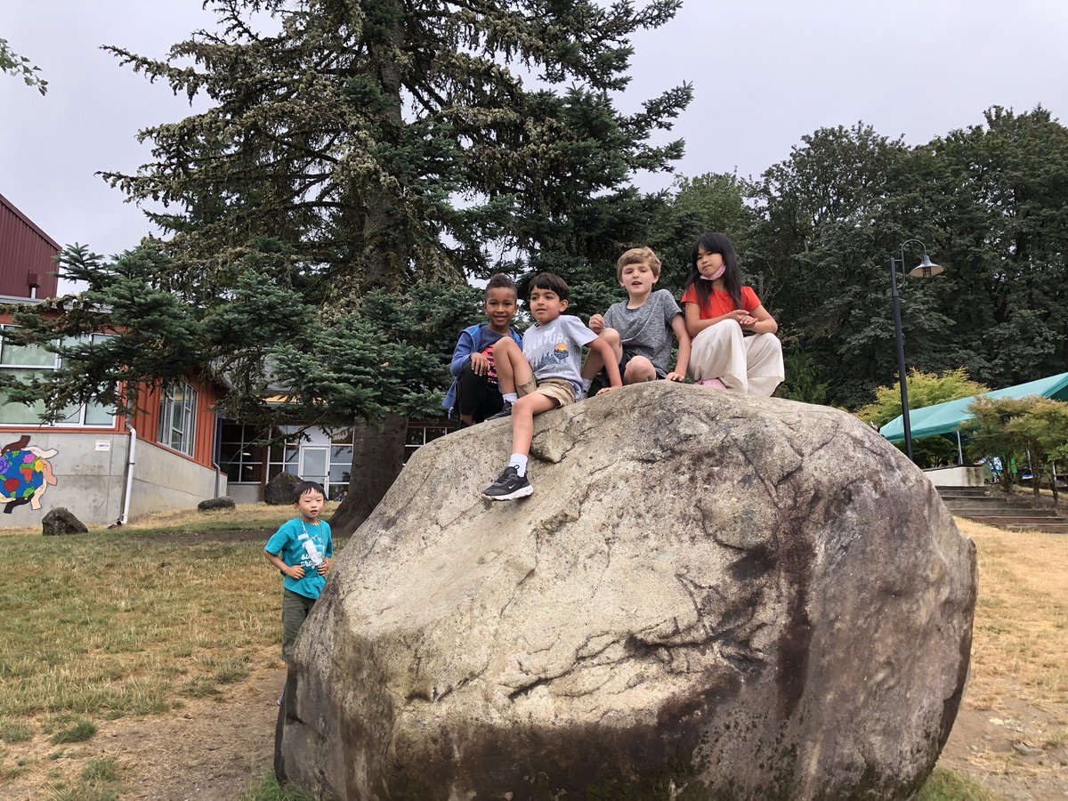 OWS Summer Program tweet media