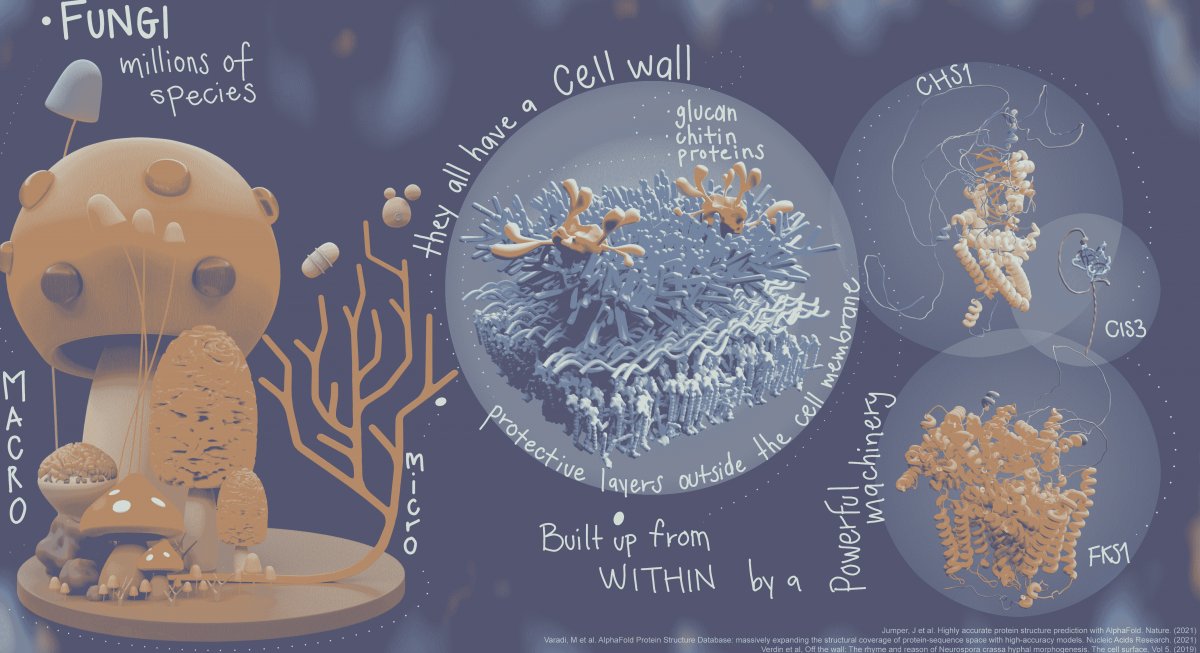 Art the Science 🚀🎨 tweet media