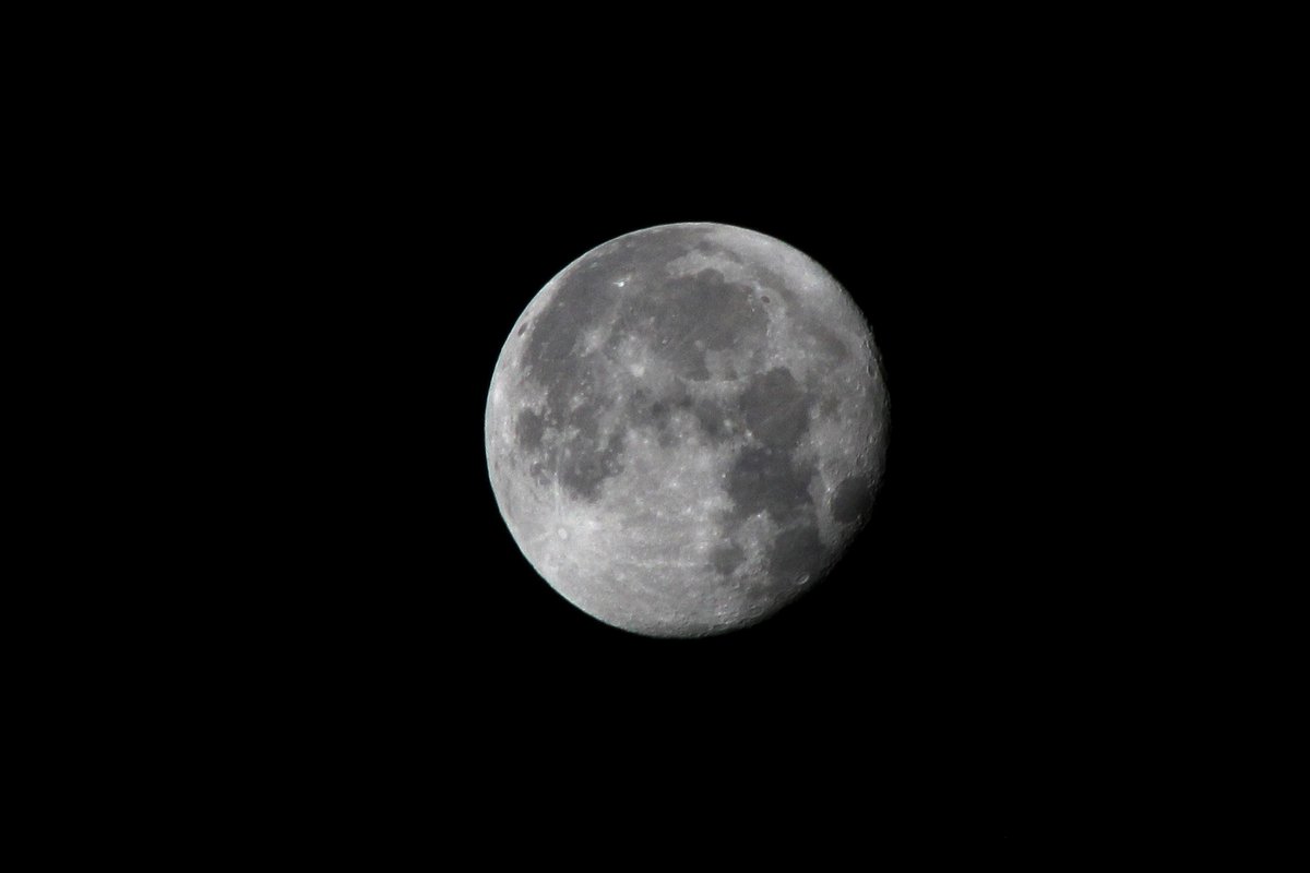 DavidAffray's tweet photo. Thank you for your #1linewed support!
#RestoreTheMoon
@K_E_Huston
@Write2Fite
@NickPWilford
@F_CameronAuthor
@RebBassWrites
@MESivils
@svonglaubitz
@Jason_H_Abbott https://t.co/dDDj0QtZyY