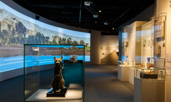 DenverMuseumNS's tweet photo. Come face-to-face with more than 350 original artifacts, some of them more than 4,500 years old, in "Egypt: The Time of Pharaohs." Step into ancient Egypt before this incredible exhibition leaves the Museum Sept. 5! https://t.co/huWrx97Stl #EgyptatDMNS #finalweeks https://t.co/X4UBQ67tzo