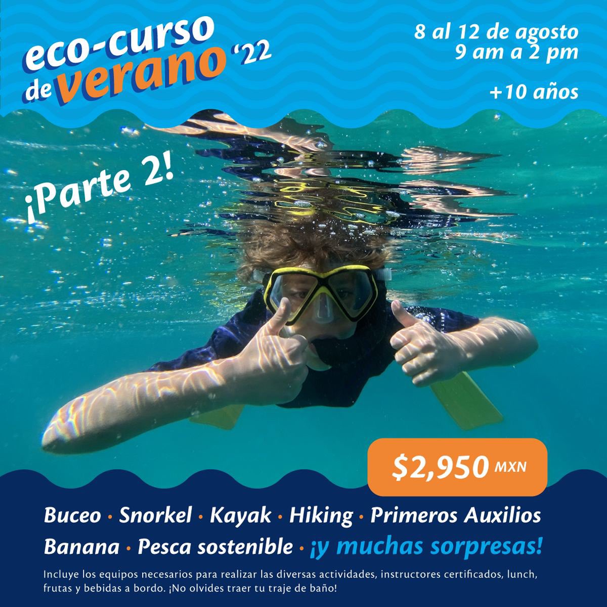 acascuba's tweet photo. 🎉 ¡Llega la parte 2 de nuestro divertidísimo Eco Curso de Verano del 8 al 12 de agosto!

📞 Información y reservas al +52 744 383 8162 https://t.co/15vElk6Z09