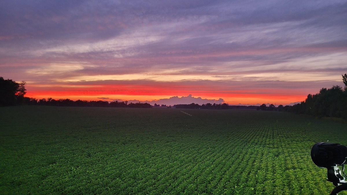Tim VanGilst 🚛🌾🌽🇨🇦🇳🇱 tweet media