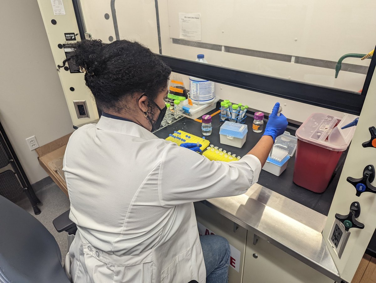 nataly_2912's tweet photo. DNA extractions with Lauren Combs. Thanks to the amazing @MichelleAfkhami lab for all the support! @DamianMicroEco @BriannaAlmeida4 @knkiesewetter https://t.co/9b8wzwOrO5