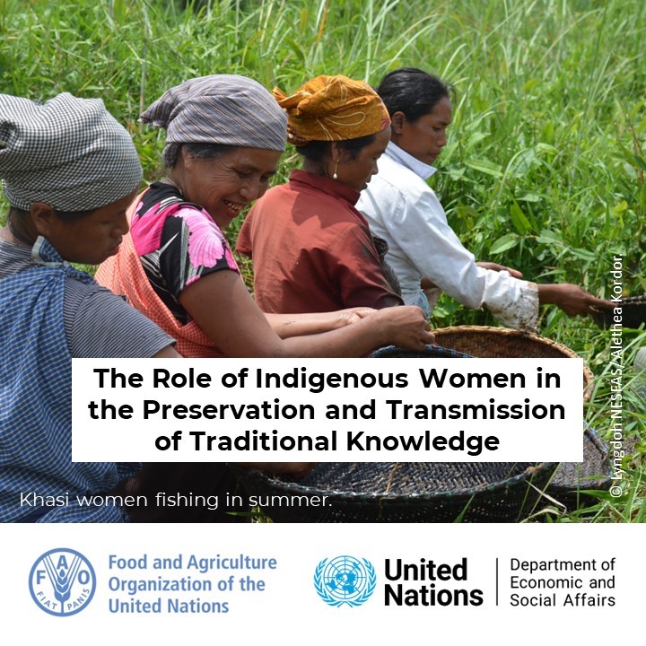 FAO Indigenous Peoples tweet media
