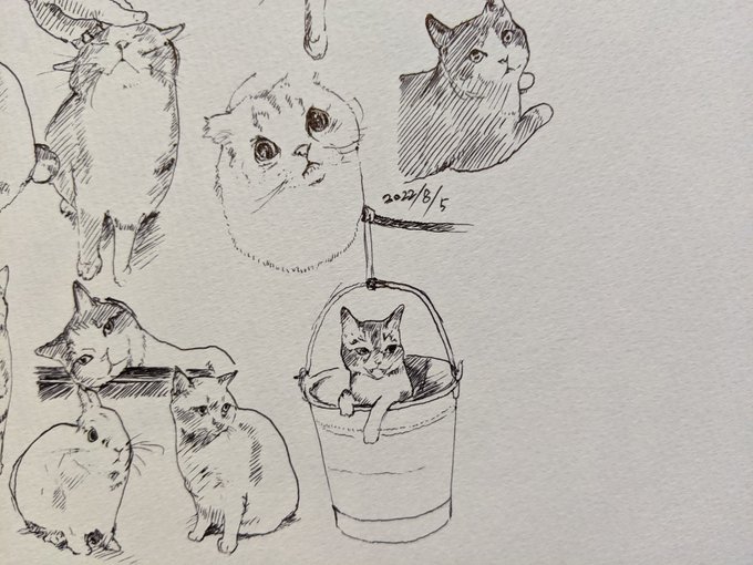 バケツロープウェイで移動する猫が可愛すぎてsteamでSTRAY買ったけどホラー的シーンもあんのかよぉ😭可愛いから良いが カキカキ。 