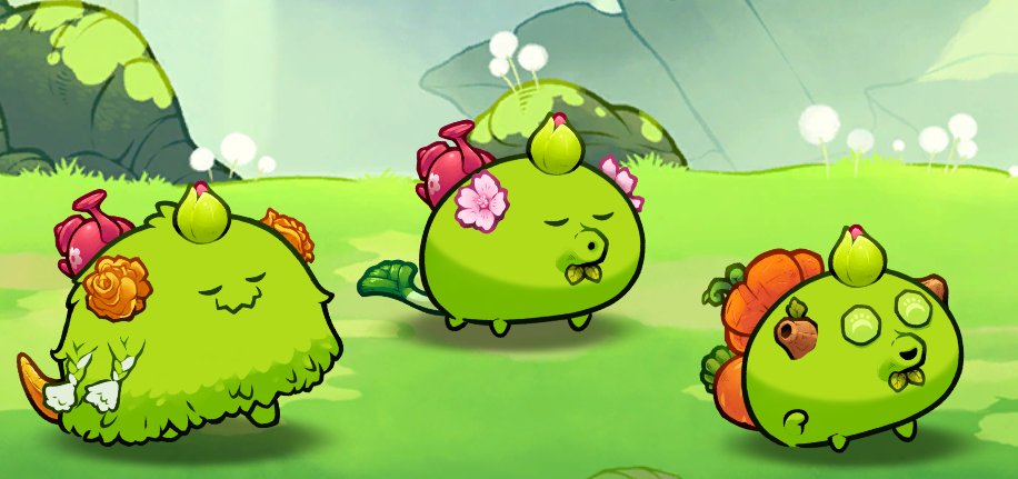 TheFlyingBird tweet media