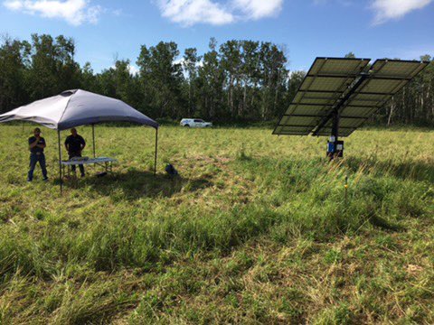 BeefSmart Consulting Inc. tweet media