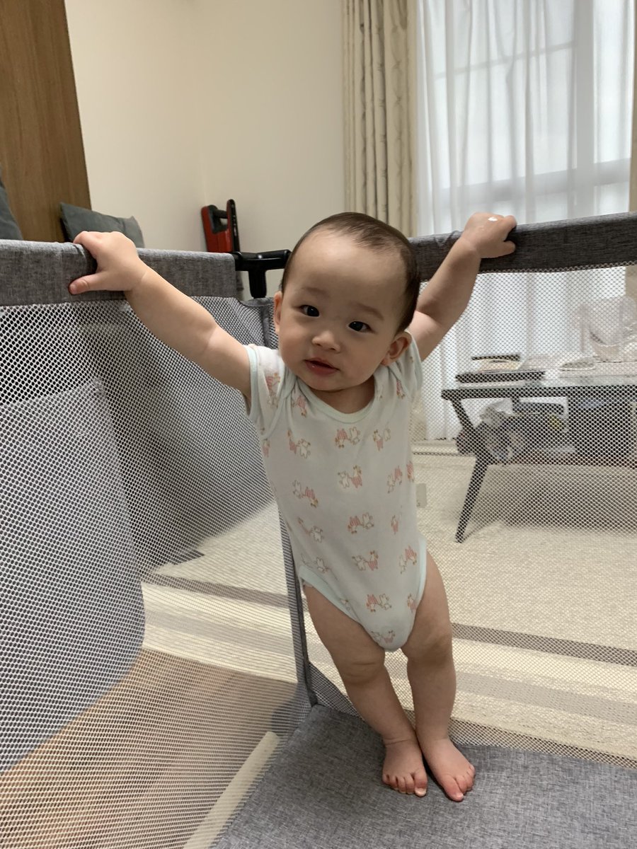 ikimono384's tweet photo. 君、立ち方が様になってきたね https://t.co/ppJOY1zWRb