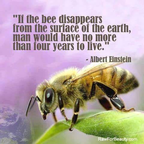 DON'T KILL THE BEES,  THEY ARE PRECIOUS.