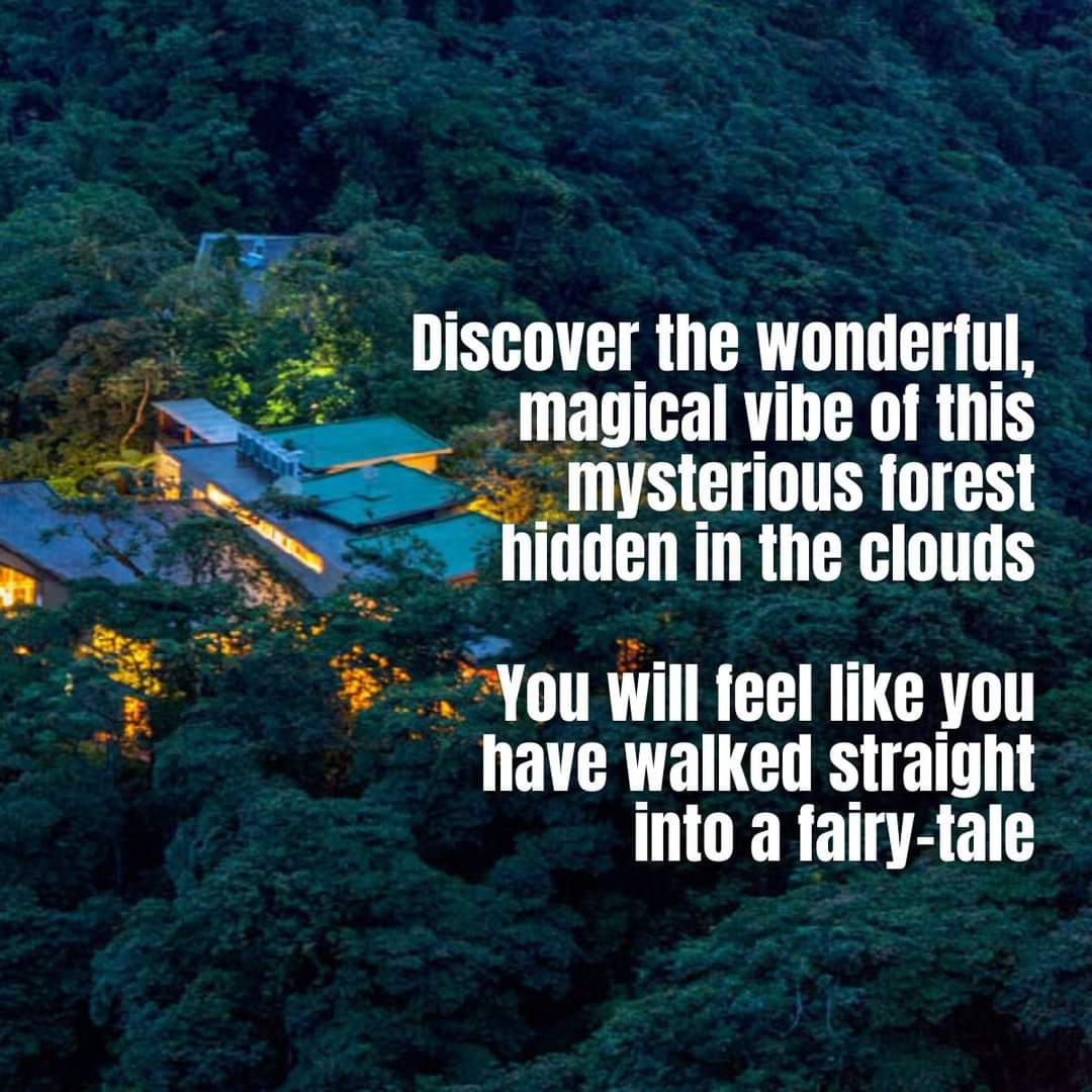 HappyGringo's tweet photo. #Cloudforest Ecuador Cloud Forest ππ Experience first-hand one of the top, internationally recognized, biodiversity hotspots on the planet!
ππ Check out our Ecuador Cloud Forest tours! https://t.co/5Q1yBIELJ8
#Cloudforest #cloudforesttour #happygringo #happygringotours https://t.co/waJdh57Ux6