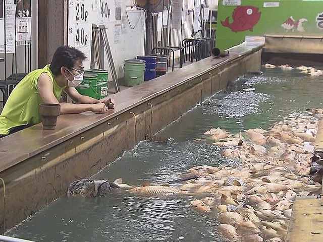 酷すぎる！釣り堀にて電気メーターの配線切られ、3000匹の魚が大量死・・