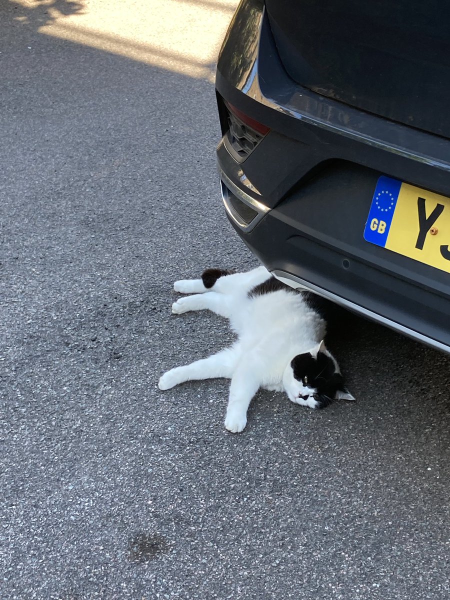 stationmoggy's tweet photo. Team3 NPT 👮♀️👮🏻onto Rest days.. me I’m resting now as it’s been a busy set of shifts https://t.co/RAVJKhzxeZ so think I’ll just chill untill Team1 arrive in the morning 😹😹😻
#DonemyBit
#CatsOfTwitter
#PoliceCat 🐈⬛ 🚓 https://t.co/UgNegrDk7r
