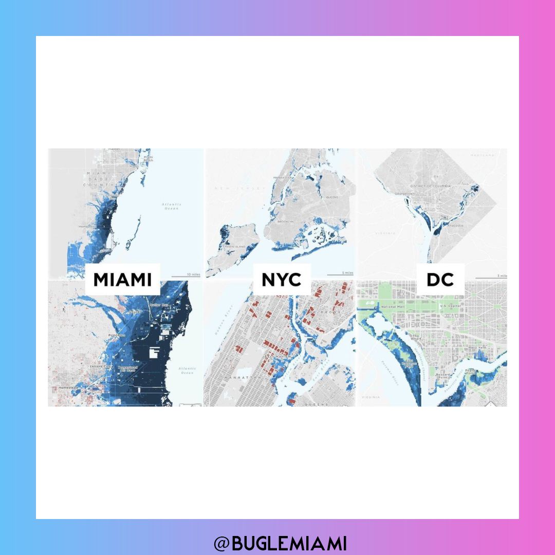 BugleMiami's tweet photo. These hurricane flood maps reveal the climate future for #Miami, NYC and D.C. 

#BugleMiami #MiamiNews https://t.co/0zT1NT5iXH
