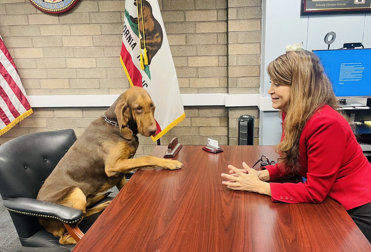 LAPDCARRANZA's tweet photo. Received a surprise visit from #K9 #Piper ! Piper wants more snacks, toys, a designated run area,and a new shop. I tried to explain that it was was not possible but she did not want to hear it. So I’ll be reaching out to @LAPoliceFdtn 🙏🏼🐶🐾 https://t.co/BvjVqqhBNv #LAPD https://t.co/lG3AzCaN6d