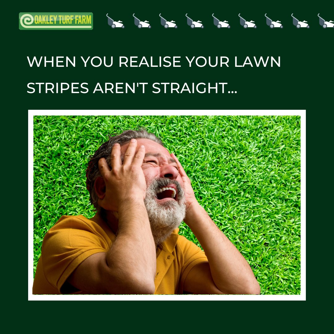 oakleyturffarm's tweet photo. Who can relate to this?! 🌱
#lawnstripes #stripedlawn #lawnlines #lawnproblems #gardenerproblems https://t.co/4M2tXoYwoN