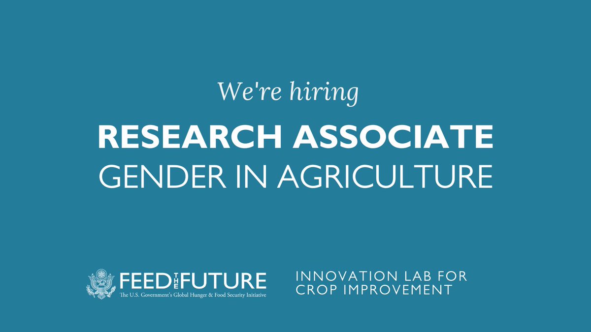 CropImprovement's tweet photo. ** We're hiring — please share widely! **

➡️Role: Research associate @CornellCALS 
➡️Projects: @CropImprovement &amp; @CGIAR_EiB 
➡️Requirements: #PhDposition w/ focus on gender, youth, resilience &amp;/or nutrition in #development

Apply: https://t.co/q2NpUwuB3s https://t.co/7olkJdiGU9