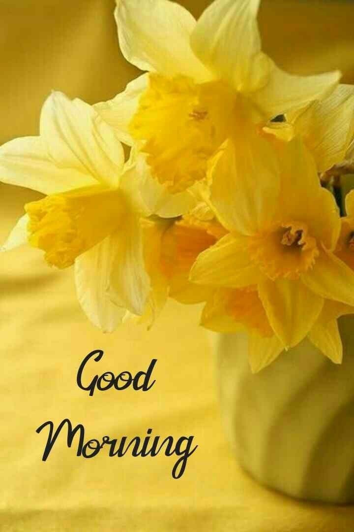 rkbanshi's tweet photo. #Good_Morning Tweeter Friends 🙏🏼⚘️

⚜━━━॥#Good_Thoughts॥━━━⚜
Be good and kind, 
and you will see so much 
goodness and kindness 
returned back to you. 🙏🏼⚘️
⚜॰॰━━━॥#rkbanshi॥━━━॰॰⚜ 

‼️Have a nice and #beautiful_day ‼️ https://t.co/LqfGZcH2xb