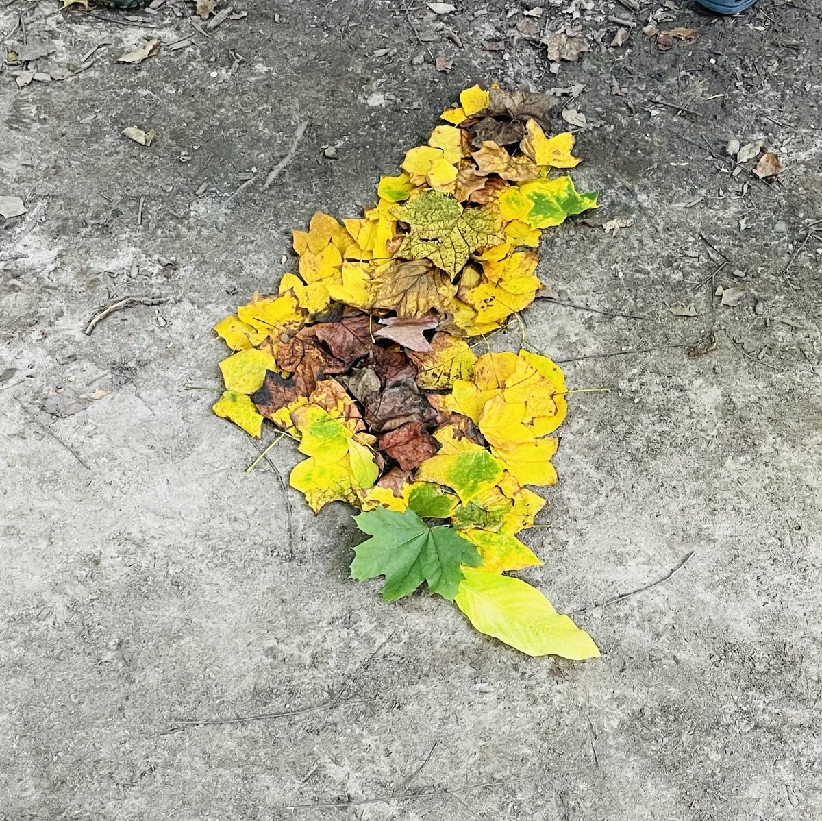 qikenwing's tweet photo. Inspired by the pond @TregaronDC and the work of Andy Goldsworthy — the keen artful eyes of  #wissit22 #educators and @msbeckartclass created these artful splashes of nature #arthappens https://t.co/rtAaXsZbip