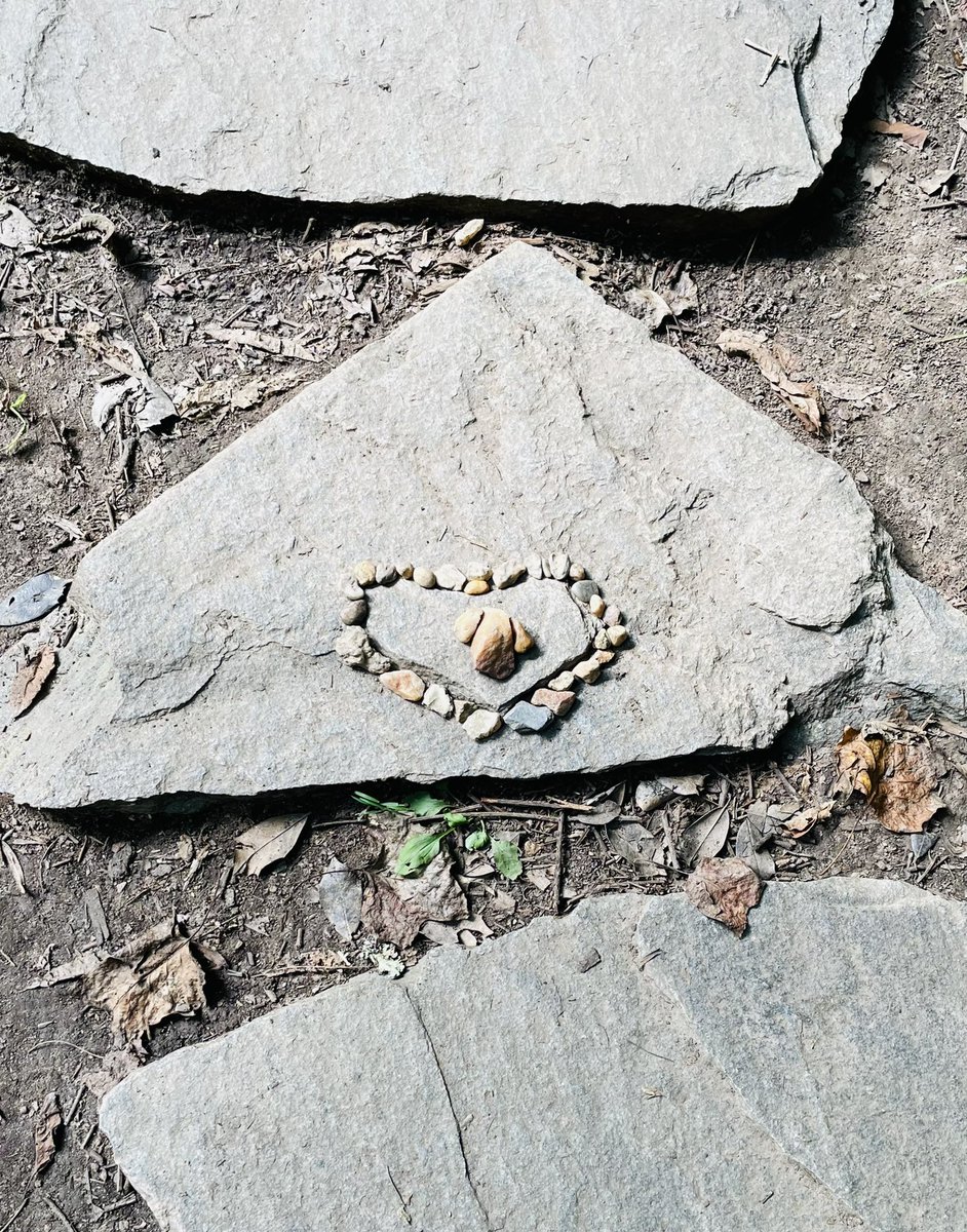 qikenwing's tweet photo. Inspired by the pond @TregaronDC and the work of Andy Goldsworthy — the keen artful eyes of  #wissit22 #educators and @msbeckartclass created these artful splashes of nature #arthappens https://t.co/rtAaXsZbip