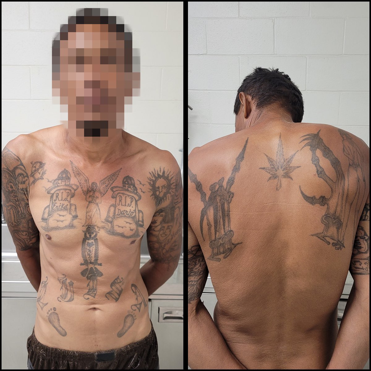 USBP agents assigned to the Yuma Station apprehended a Mara Salvatrucha  (MS-13) gang member early this morning west of the Andrade, California Port  of Entry. The 35-year-old Honduran migrant will be returned, image size:1200x1200