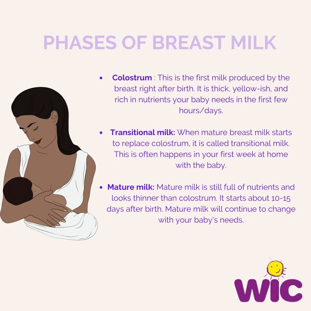 Celebrate Breastfeeding Month with us! Did you know there are stages to breastmilk? Contact our local Cambridge WIC program to see if you qualify for the great benefits (breastfeeding support, healthy food, etc.) for moms and kids up to 5! 617-575-5330 or wic@challiance.org