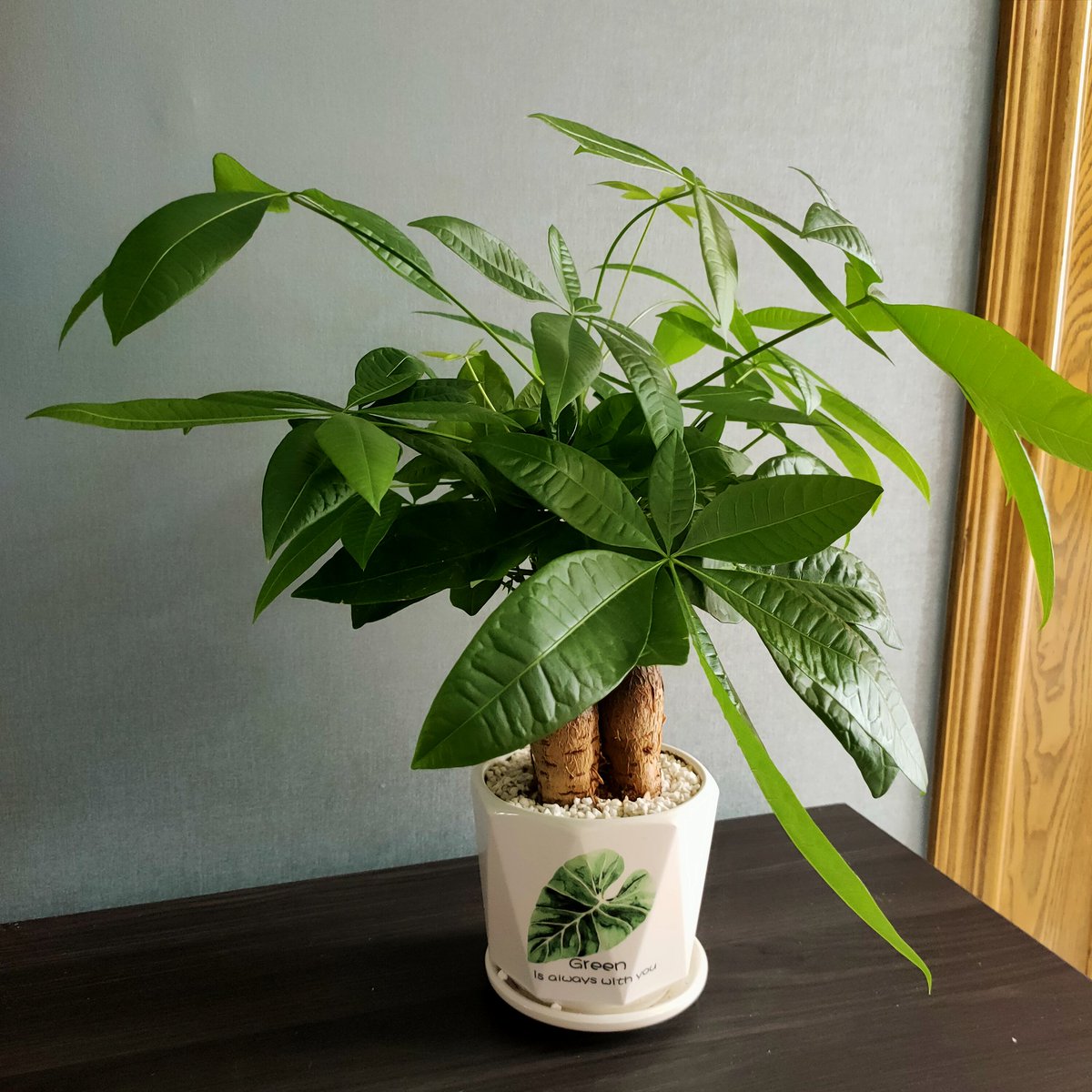 不指望世界会因我而改变，但愿我身边的人会因我而快乐和幸福。亲，早安🌹