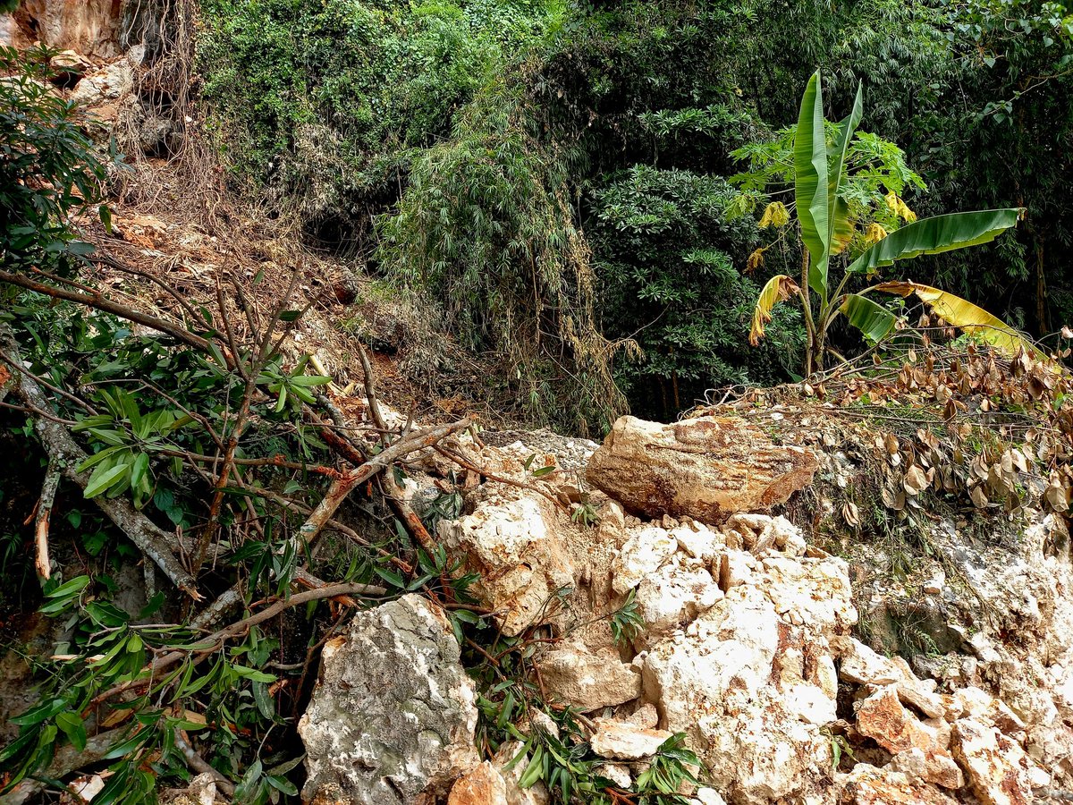 1_Arlynn's tweet photo. When you're okay walking then aftershock suddenly slides rocks on your side.. 
..  you get confused whether to run away or go on &amp; get @Peter_Biro a video of it :-) 
Happy WHD month!! 
#WHD2022 #EarthquakePH #EarthquakeAbra #EUHumanitarian #LeaveNoOneBehind https://t.co/TgnyUGe9vG