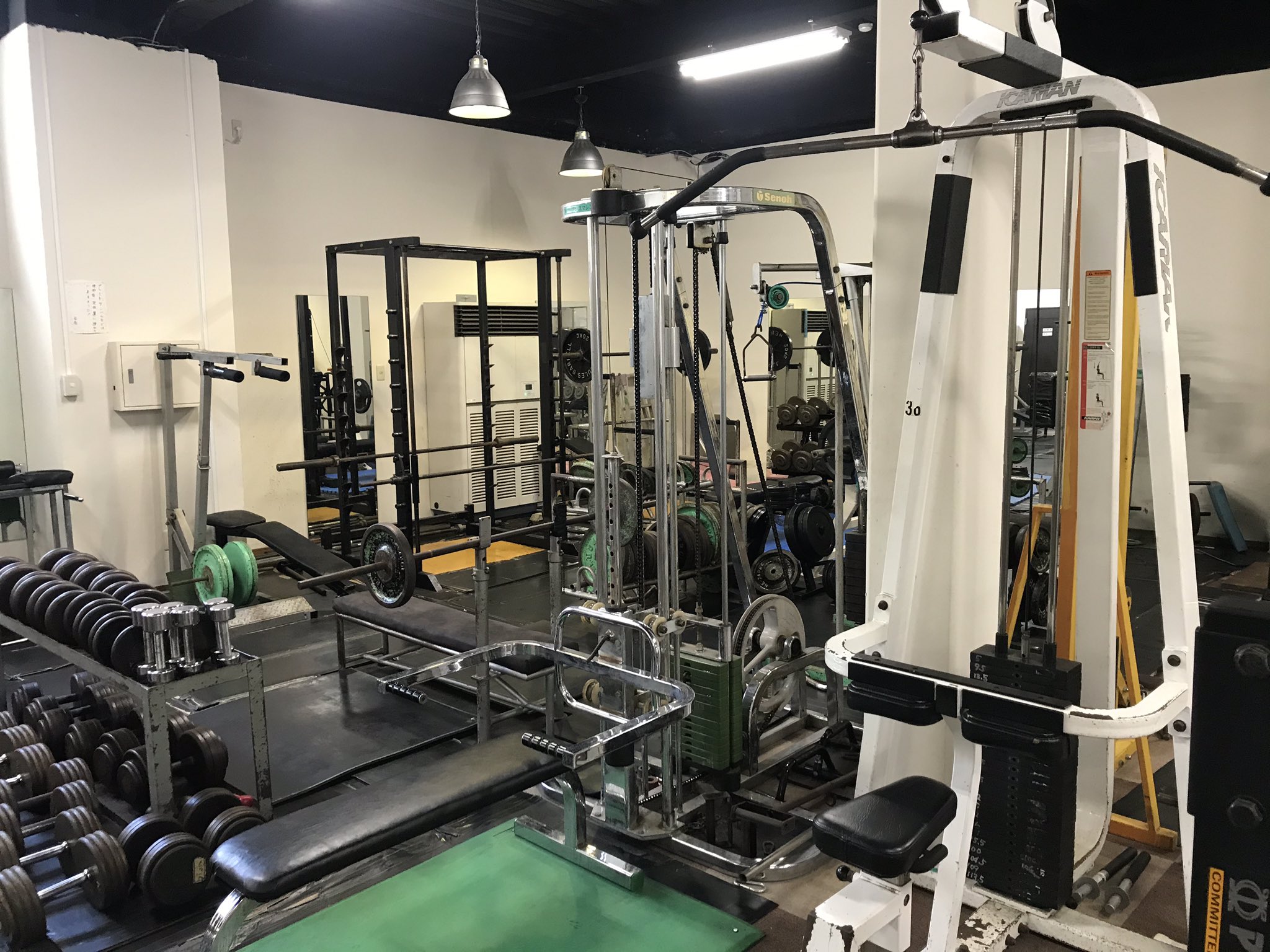 ジムトレーニング wildfit_3436