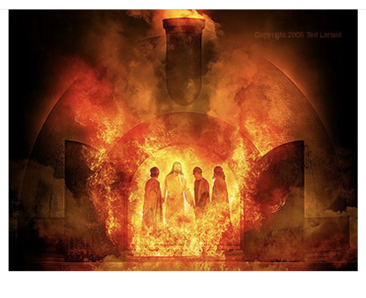 🧐☂️🍌....🚐 tweet media