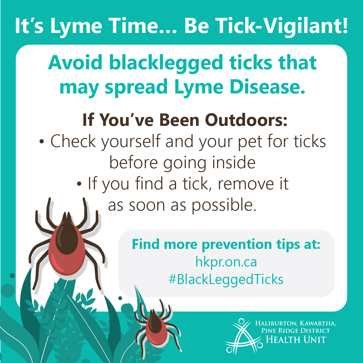 HKPRDHU's tweet image. Know what to look for, how to reduce the risk of being bitten, and when to seek medical attention: bit.ly/3OdqLOj 
#LymeDiseaseAwareness #BlackLeggedTicks #HKPR