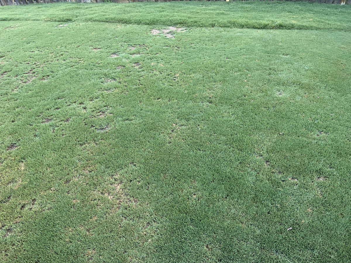 Been a little busy but we are pleased with the recovery on the <a href="/takecomand/">COMAND</a> test area at #WhitakerNational.. still have some work to do but it’s getting there.. thanks <a href="/HarrellsLLC/">Harrell’s LLC</a> and <a href="/chrissimon4/">Chris Simon</a>